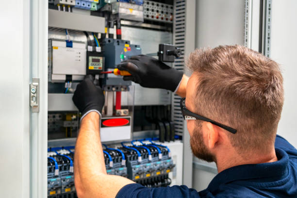 Best Generator Installation Services  in Deville, AL