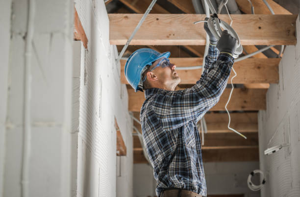 Best Electrical Repair Services  in Deville, AL